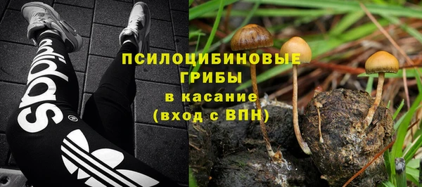 винт Ладушкин