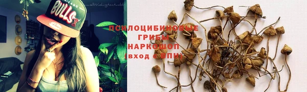 ешки Лабытнанги