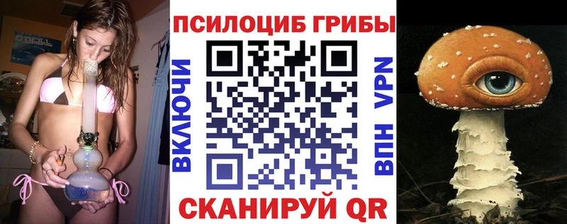 Псилоцибиновые грибы MAGIC MUSHROOMS  Купить где  Медвежьегорск 
